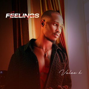 Feelings