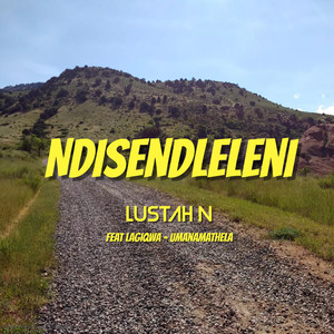 Ndisendleleni