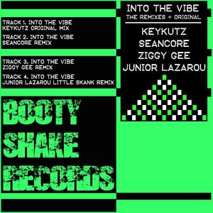 Into The Vibe - The Remixes