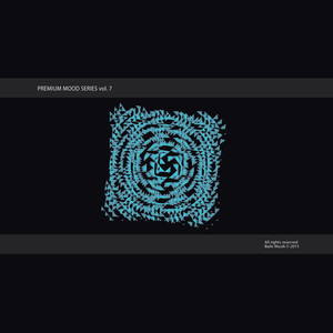 I Go In Slow Motion (Original Mix)