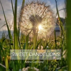 Sweet Dandelions