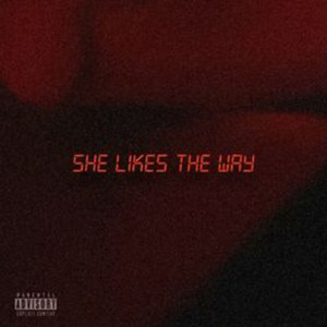 She likes  the way (Explicit)