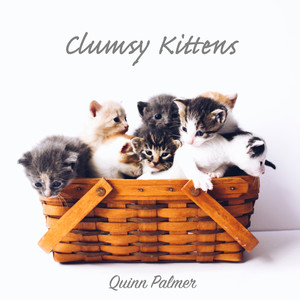 Clumsy Kittens