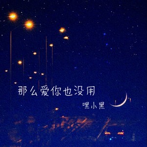那么爱你也没用