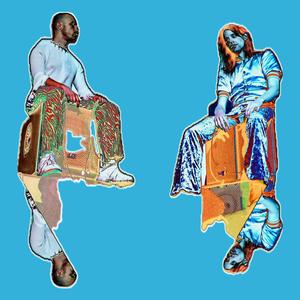 Mauersegler (Explicit)