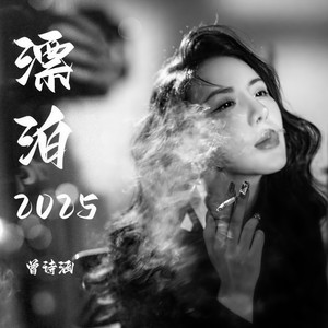 漂泊2025封面
