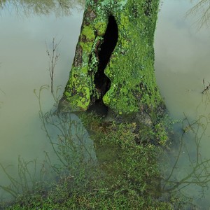 Between the Devil and the Deep Blue Sea