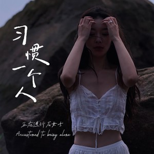 习惯一个人 (女声版)