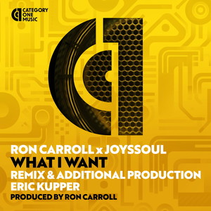 What I Want (Eric Kupper Remixes)