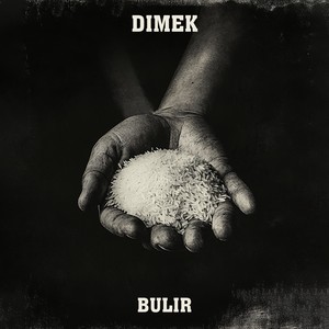 Bulir