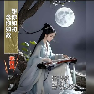 想你如初，念你如故 (伴奏)