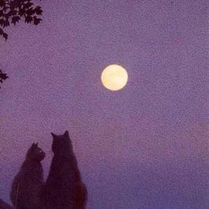 舒伯特玫瑰 (翻自 蓝心羽)