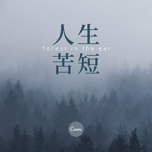 你不应该离开我 (Remix)