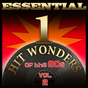Essential One-Hit Wonders of the 90s-Vol.2