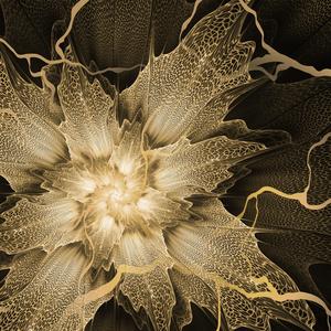 Life In A Reflection (feat. JMauk & Isaac Elsie)