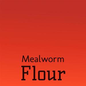 Mealworm Flour