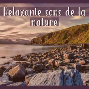 Relaxante sons de la nature - Plein de loisirs, Nature merveilleuse, Communiant avec la nature, Temps souffle