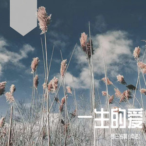 一生的爱 (COVER版)