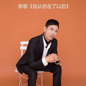 自从你走了以后