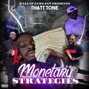 Monetary Strategies (Explicit)