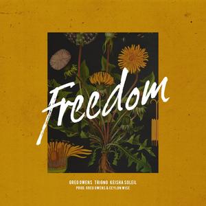 Freedom(feat. TrigNO & Keisha Soleil)