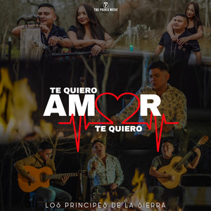 Te Quiero Amor Te Quiero