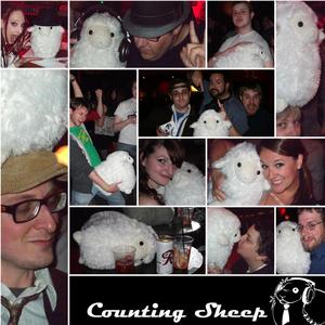 Counting Sheep