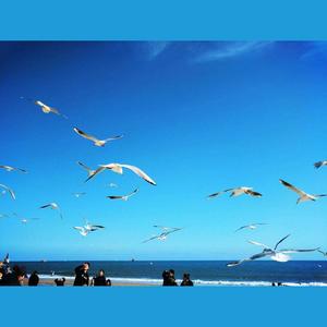 如果有一天我不再忧伤