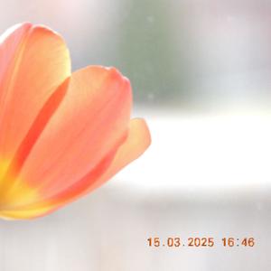 marionette (feat. rewind) (Explicit)