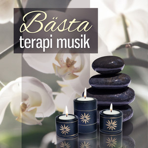 Bästa terapi musik: Sömn musik, Massage musik, Chakra musik, Yoga musik, Reiki musik, Meditation musik