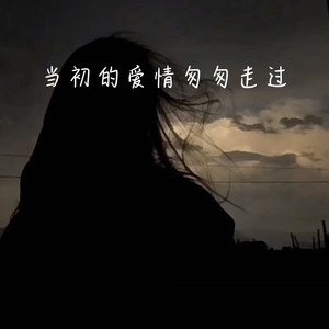 当初的爱情匆匆走过 (忧郁R&B)