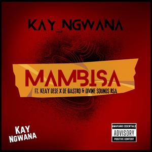 Mambisa (feat. De Gastro & Divine Sounds RSA) (Sample Mix)