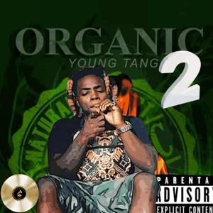 Organic 2 (Explicit)