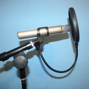 First Time That You Heard Me I Was Singing