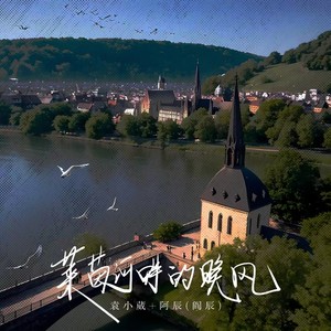 袁小葳 - 莱茵河畔的晚风
