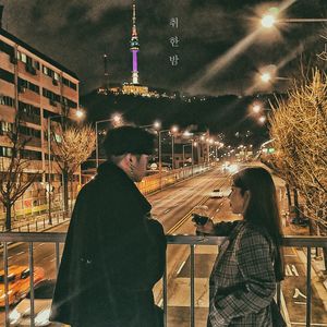 취한 밤 (醉了的夜)