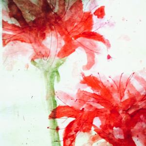 九曜之国的王子