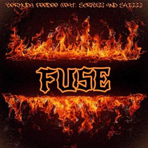 Fuse (feat. ScribzZ & SwizZz) [Explicit]