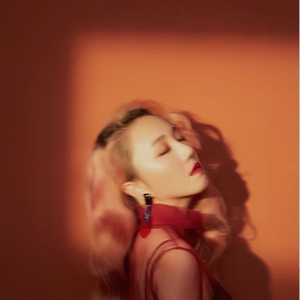 没有道理的爱-白静