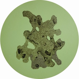 海拔测量员是一条鱼