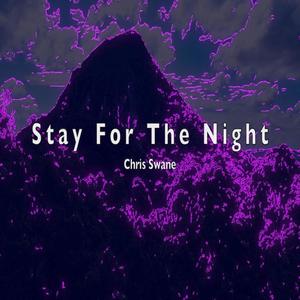 Stay For The Night