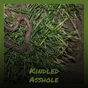 Kindled Asshole