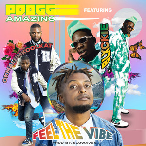 Feel The Vibe (Explicit)