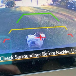 avenue (feat. KT33) (Explicit)