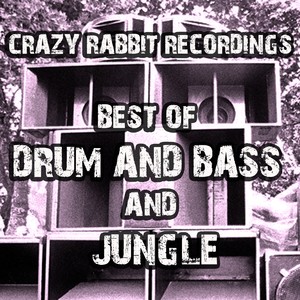 Best of DnB and Jungle 2017 (Explicit)