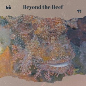 Beyond the Reef