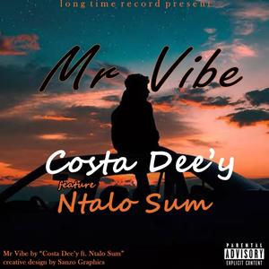 Mr vibe (feat. Ntalo Sum) [Explicit]