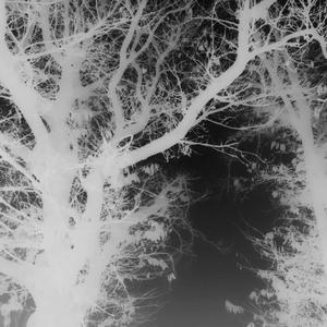 Wont be loving for a while | You (Explicit)