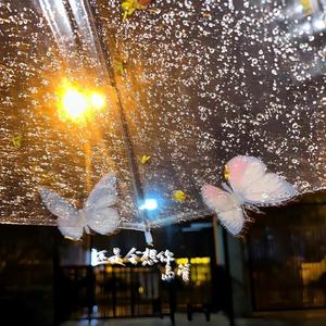 还是会想你-岛管