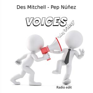 VOICES (Radio Edit)